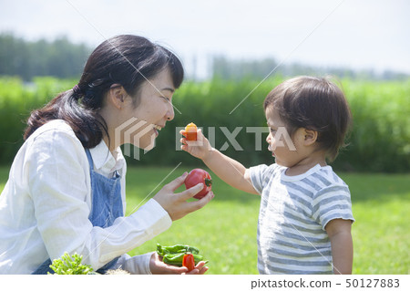 夏季蔬菜豐收 50127883