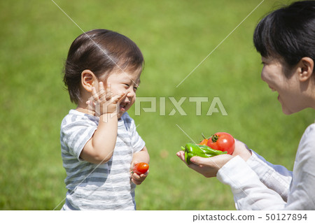Summer vegetable harvest 50127894