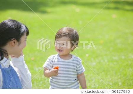 夏季蔬菜豐收 50127920