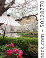 Tsuruoka Hachimangu Shrine 50128770