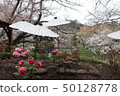 Kamibobotan Garden 50128778