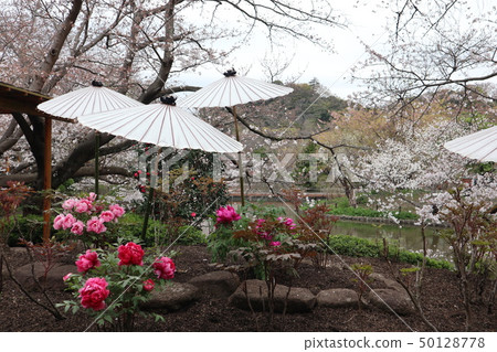 Kamibobotan Garden Kamibobotan Garden 50128778