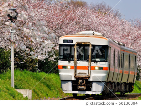 Cherry blossoms and Kiha 25 Cherry blossoms and Kiha 25 50130394