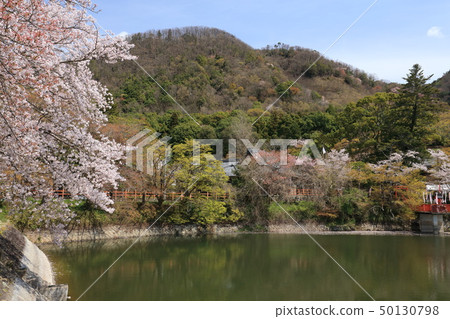 Izumo Daijingu in spring 50130798