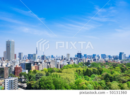 新鮮的綠色和都市風景東京（新宿區和千代田區周圍） 50131360