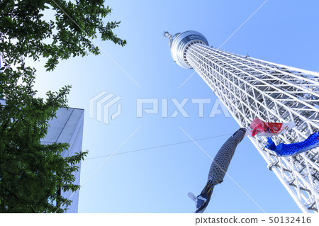 Sky tree  50132416