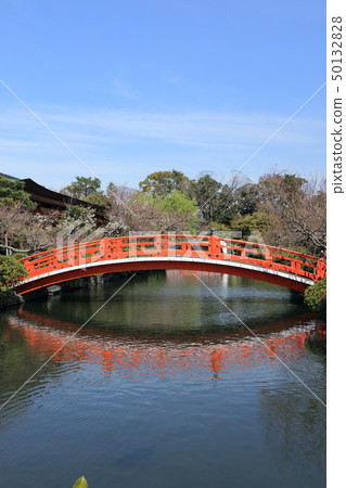 Shinsenen在春天 50132828