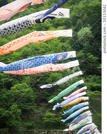 游泳在山樹後面的許多鯉魚飄帶 游泳在山樹後面的許多鯉魚飄帶 50133042