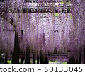 淺紫色長下坡隧道 50133045