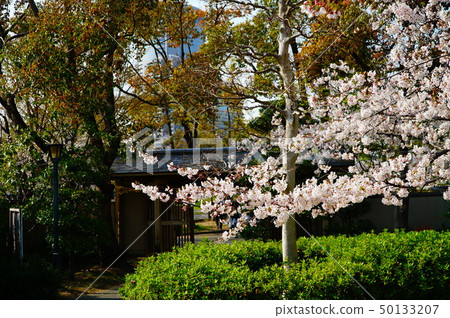 大阪城周圍的藤田屋遺址公園 大阪城周圍的藤田屋遺址公園 50133207