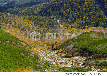 Autumn scenery from Norikura echo line 50133515