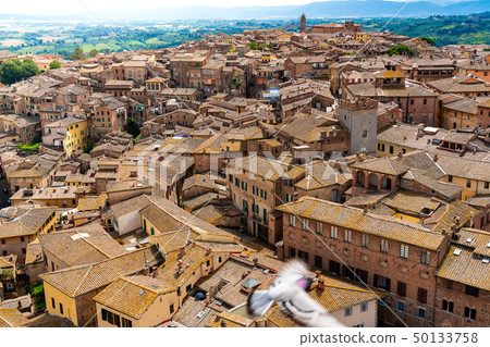 Aerial view of Siena Cityscape Aerial view of Siena Cityscape 50133758