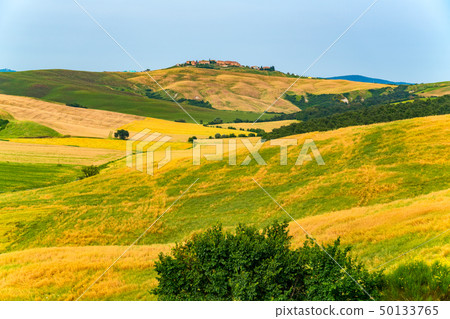 Scenic landscape of hilly tuscany 50133765