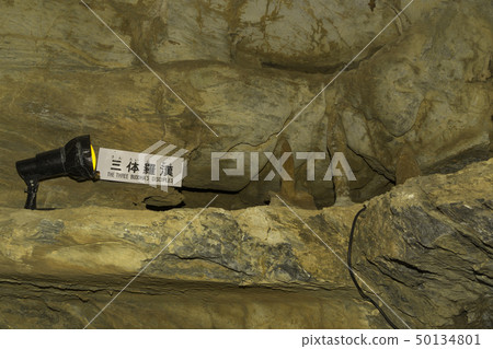 [Shizuoka Prefecture] Ryugaiwa Cave 50134801