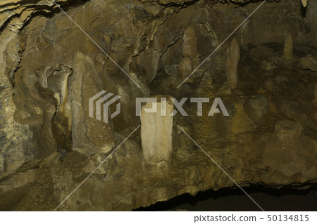 [Shizuoka Prefecture] Ryugaiwa Cave 50134815