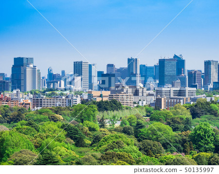 新鮮的綠色和都市風景東京（在港區和千代田區附近） 50135997