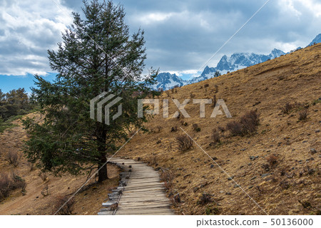 中國麗江玉龍雪山 中国観光スポット China Jade Dragon Snow Mountain 50136000