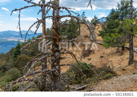 中國麗江玉龍雪山 中国観光スポット China Jade Dragon Snow Mountain 50136001