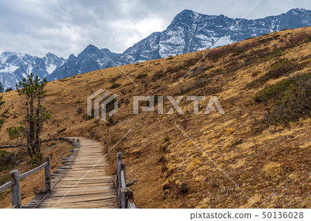 中國麗江玉龍雪山 中国観光スポット China Jade Dragon Snow Mountain 中國麗江玉龍雪山 中国観光スポット China Jade Dragon Snow Mountain 50136028