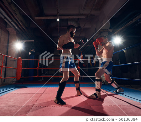 Boxers training kickboxing in the ring at the health club 50136384
