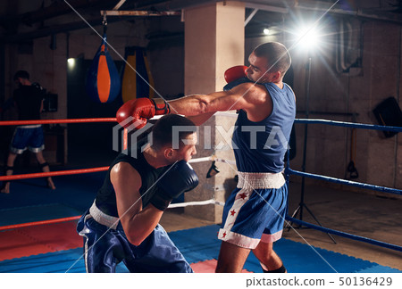Boxers training kickboxing in the ring at the health club Boxers training kickboxing in the ring at the health club 50136429
