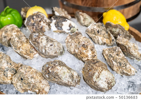Fresh Oyster Fresh Oyster 50136683