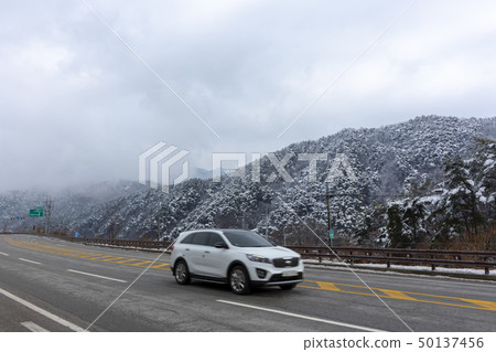 大雪,春雪,Yeongwol-gun,江原道 大雪,春雪,Yeongwol-gun,江原道 50137456