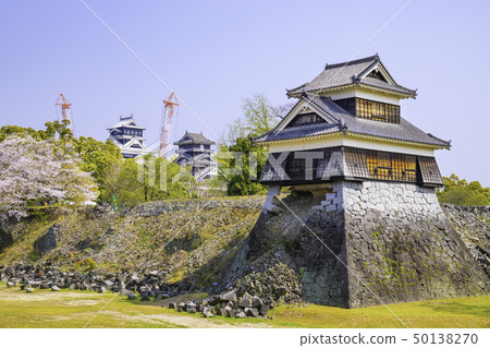 It is worth going to see the cherry blossoms and buds of Kumamoto Castle in full bloom now (April 7, 2019) It is worth going to see the cherry blossoms and buds of Kumamoto Castle in full bloom now (April 7, 2019) 50138270