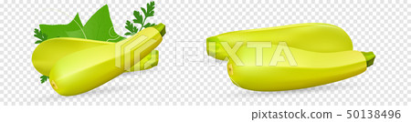 Fresh vegetable Zucchini decorated with green leaf and flower. Realistic vector on transparent Fresh vegetable Zucchini decorated with green leaf and flower. Realistic vector on transparent 50138496