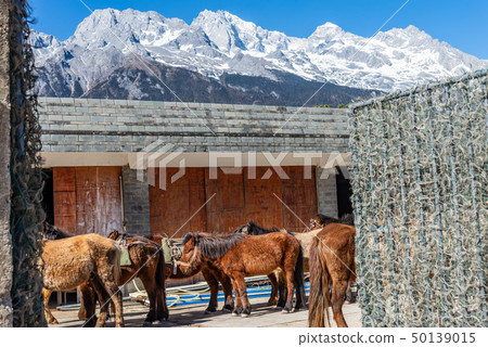 中國麗江玉龍雪山 中国観光スポット China Jade Dragon Snow Mountain 50139015