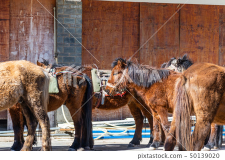 China Lijiang Jade Dragon Snow Mountain China Jade Dragon Snow Mountain 50139020