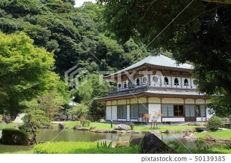 Japanese garden Japanese garden 50139385
