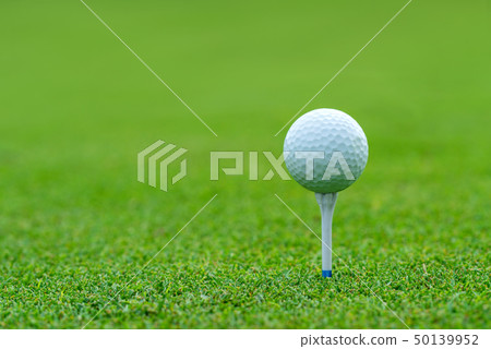 Golf ball on tee ready to be shot at golfcourt 50139952