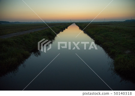 Ogawa's rose 50140318