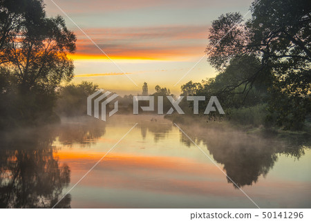 Fog over the river at sunrise time 50141296