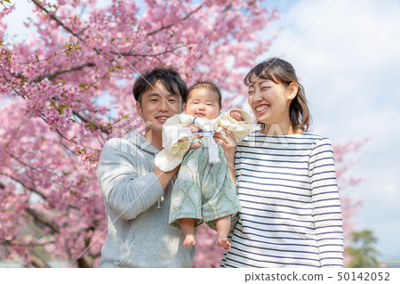 Cherry blossoms and family photos Cherry blossoms and family photos 50142052
