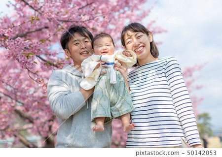 Cherry blossoms and family photos 50142053