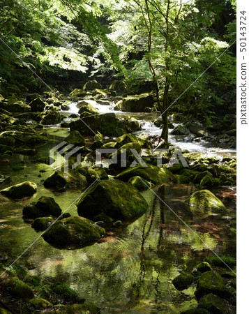 Green Stream 50143724
