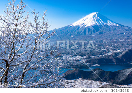 <Yamanashi Prefecture> Japan's winter, Mt. Fuji and hoarfrost 50143928