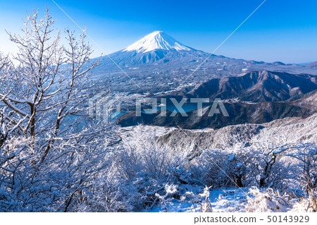 <Yamanashi Prefecture> Japan's winter, Mt. Fuji and hoarfrost 50143929