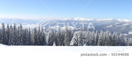 Mountains landscape panorama in winter Carpathians 50144698