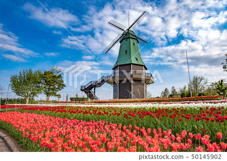 Tulip of Kasumigaura General Park 50145902