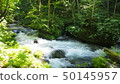 Oirase stream of Aomori fresh green 50145957