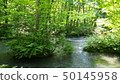 Oirase stream of Aomori fresh green 50145958