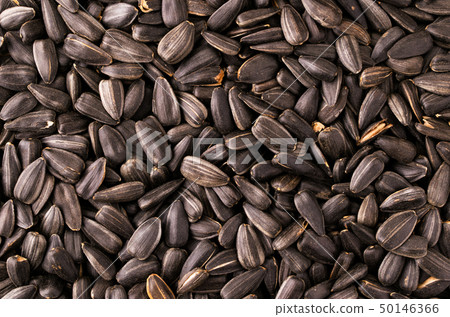 Roasted sunflower seeds. The form of the top. 50146366
