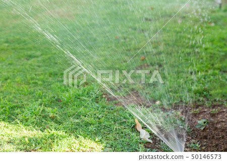 Sprinkler in garden watering the lawn. Automatic 50146573