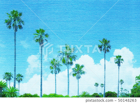 Palm trees, south island, photo art 50148263