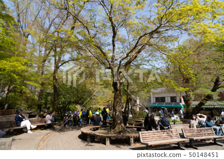Takaosan纜車清瀧站的徒步旅行者 Takaosan纜車清瀧站的徒步旅行者 50148451
