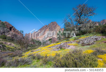 hdr 50148953