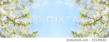 banner background with blooming trees with flower 50149684